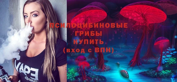дурь Аркадак