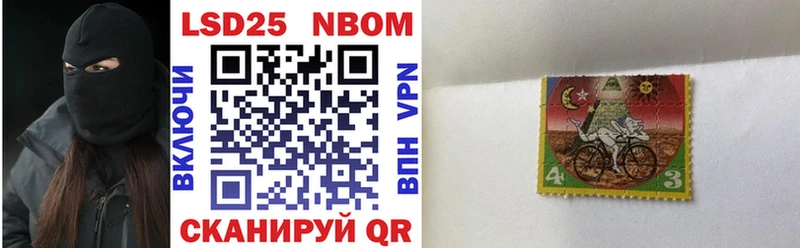 закладка  мега рабочий сайт  Наркотические марки 1,5мг  Петропавловск-Камчатский 