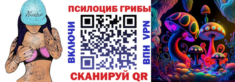 дарнет шоп  Петропавловск-Камчатский  Псилоцибиновые грибы Psilocybe 
