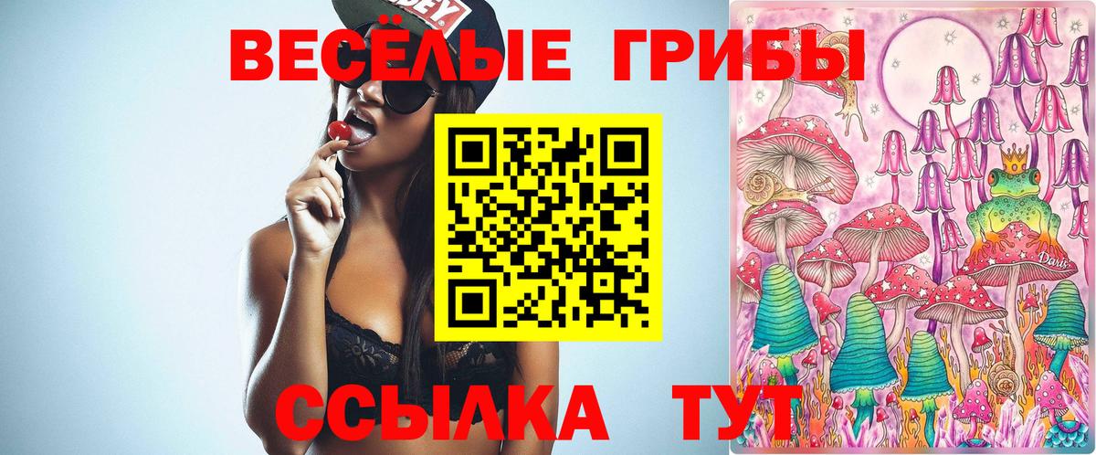 Галлюциногенные грибы MAGIC MUSHROOMS Петропавловск-Камчатский