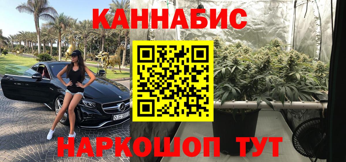 Бошки Шишки MAZAR Петропавловск-Камчатский